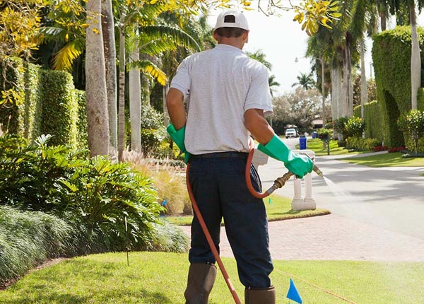 About Plainfield MA Pest Control Pros